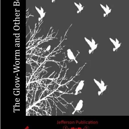 Books by splitShops - Wholesale Nature & Outdoors Book - The Glow-Worm and Other Beetles - Paperback