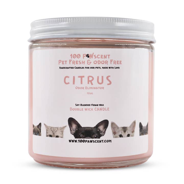 Citrus odor eliminator for wholesale by 100 PawScent Pet Fresh