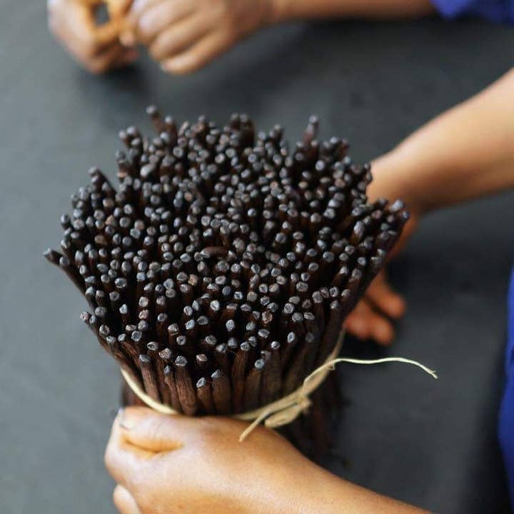 SAVA Trading Company – wholesale Vanilla/fruit extract – Gourmet Madagascar Vanilla Beans