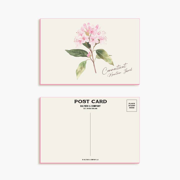 Connecticut berglaurier - Enkele Kaart met Envelop voor wholesale door Saltbox & Company