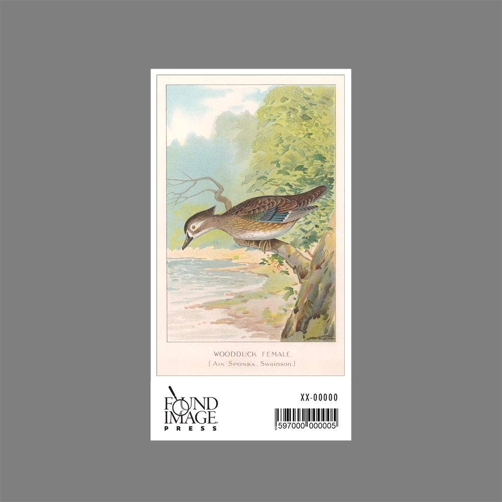 Found Image Press - Wholesale Sticker - Sticker BD-497 Female Woodduck1