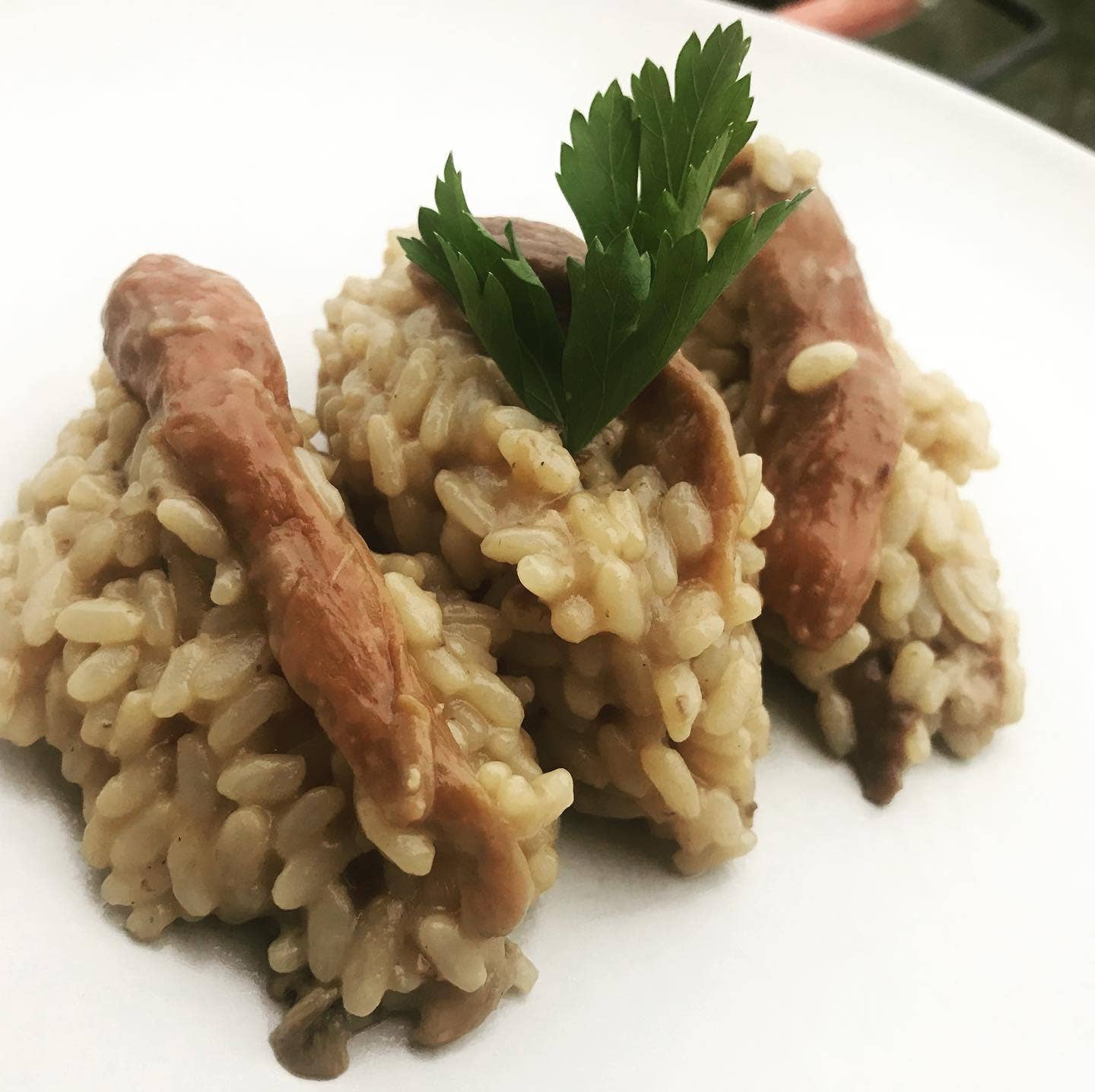 La Spora Tartufi – wholesale Risotto – PORCINI MUSHROOM RISOTTO - 200 gr3