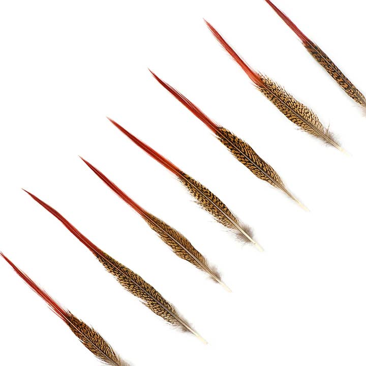 Zucker Feather Products - Wholesale Craft Supplies - 10 PC/PKG Golden Pheasant Red Top Tails 10-12"- Natural