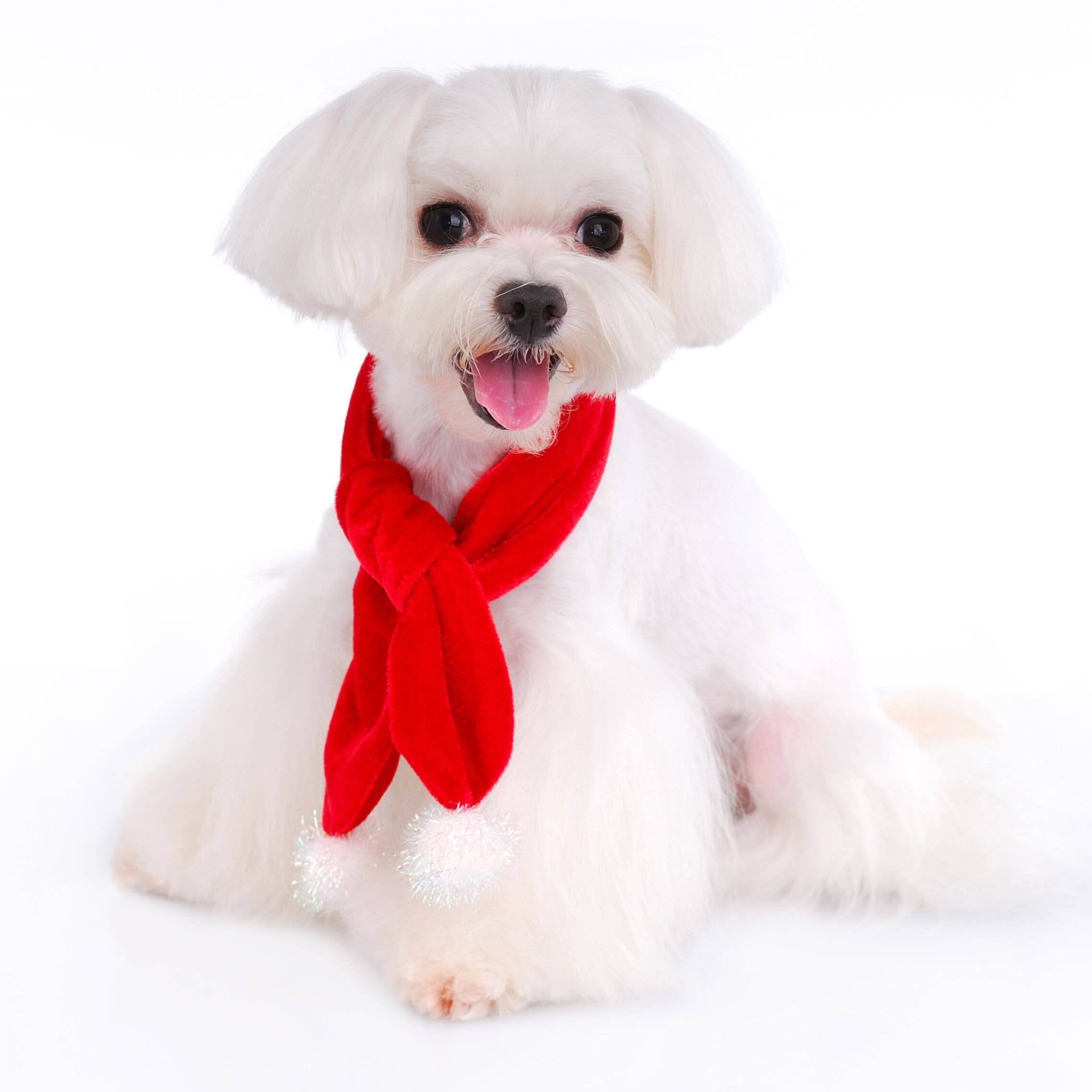 Pooch Outfitters - Wholesale Pet Costume - Dog - Santa Paws Scarf1