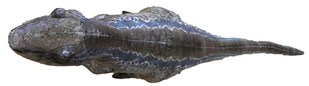 Texas Toy Distribution – wholesale Stuffed/plush toy – Kids & baby – Velociraptor 19.5" Plush Dinosaur Stuffed Animal2