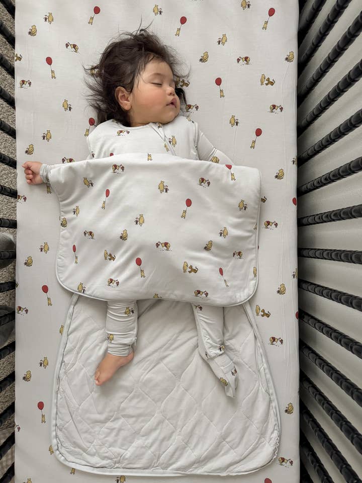 FW25 SLEEP BAG 2.5 TOG for wholesale by gunamuna