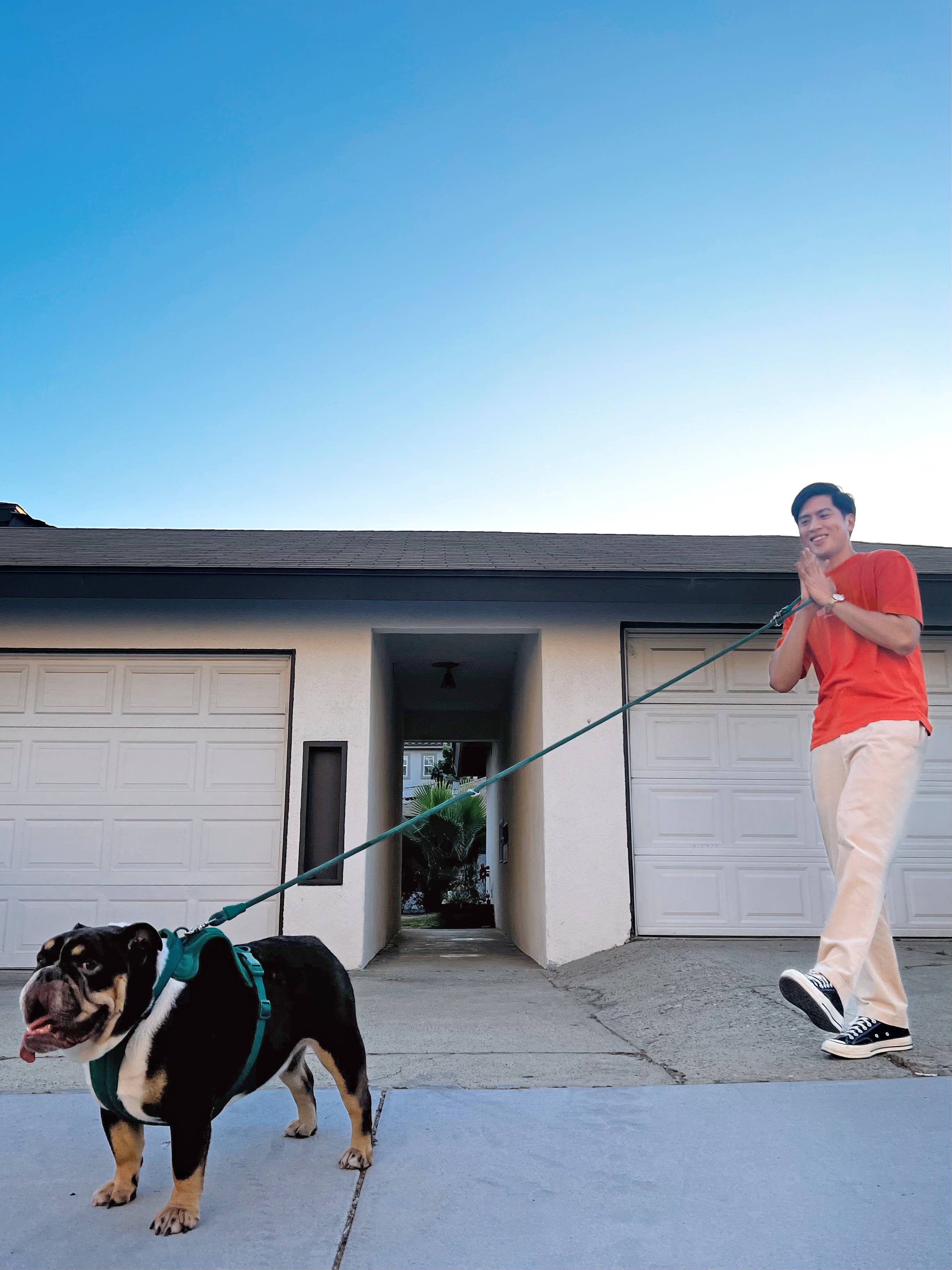 Come Here Buddy - Wholesale Pet Leash - Dog - Dog Leash Kismet Hands Free15