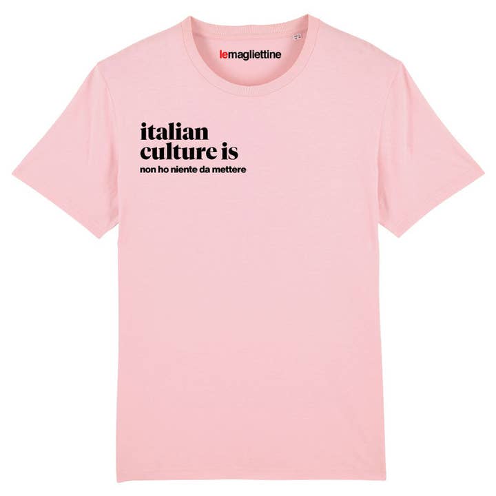 JEG HAR IKKE NOGET AT BÆRE (T-SHIRT) for engroshandel hos Le Magliettine