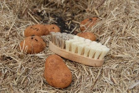 natural REDECKER Vegetable Brush French for wholesale on Faire2