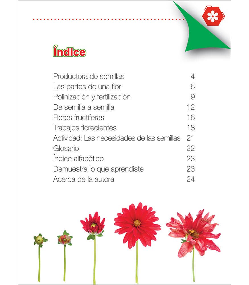 Carson Dellosa Education - Wholesale Nature & Outdoors - Flores1