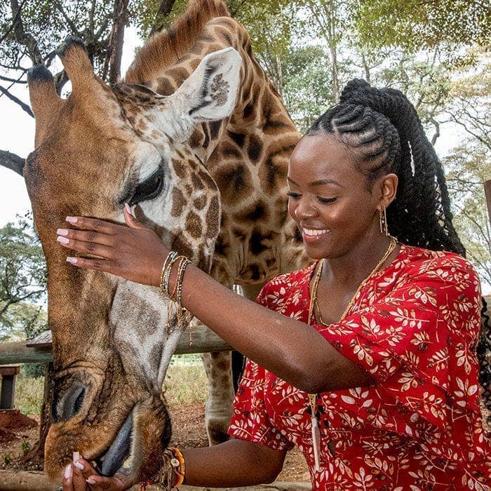 Love Is Project - Vendita all'ingrosso Bracciale con perline - Bracciale Kali Ombre - oro/argento/champagne2
