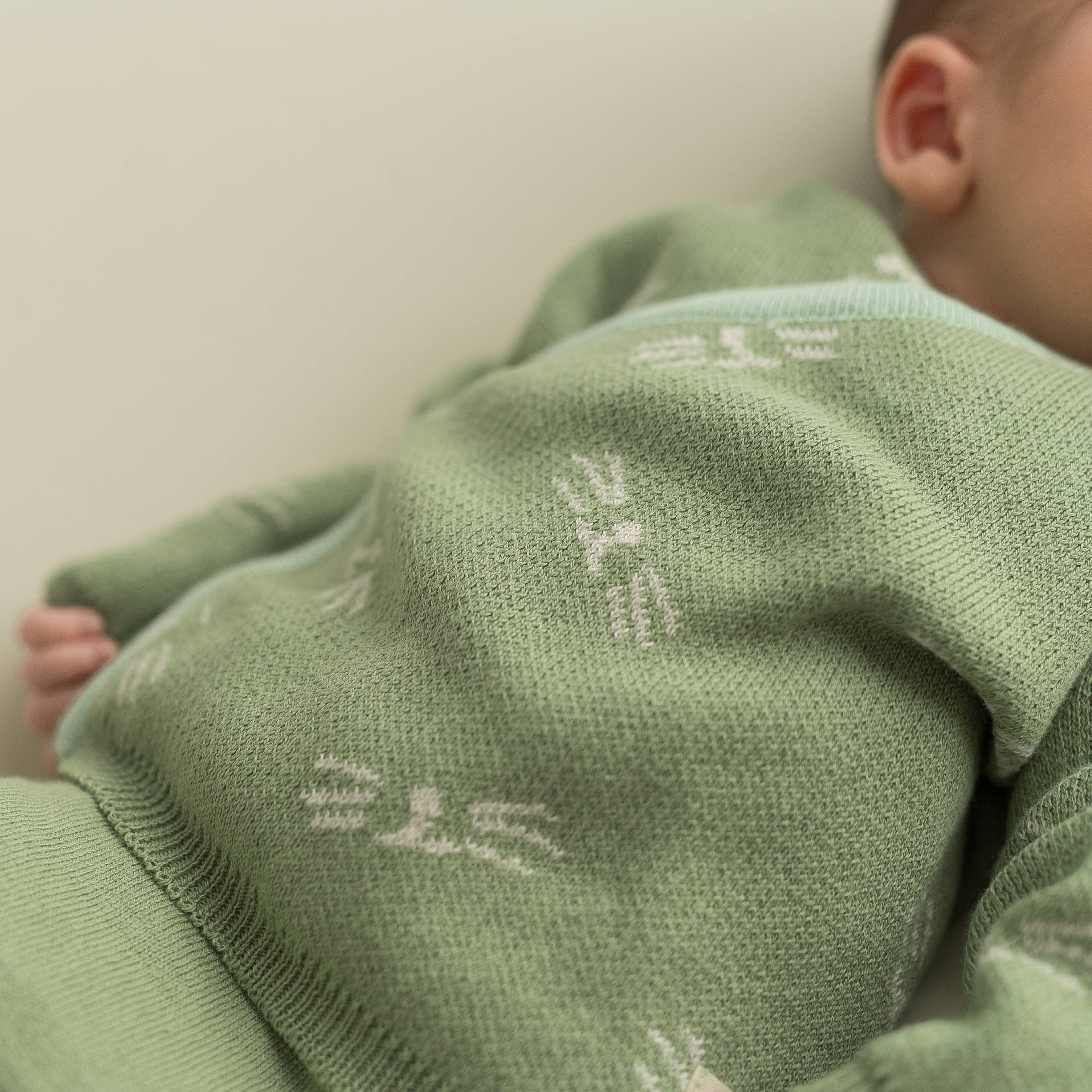 micu micu - Wholesale Clothing Set - Baby - Newborn Pack animal whiskers mint1