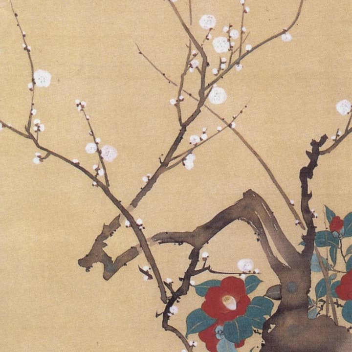 CATCH 10.5X21 CARTES DOUBLES NC4876 pour la vente par Phenicia