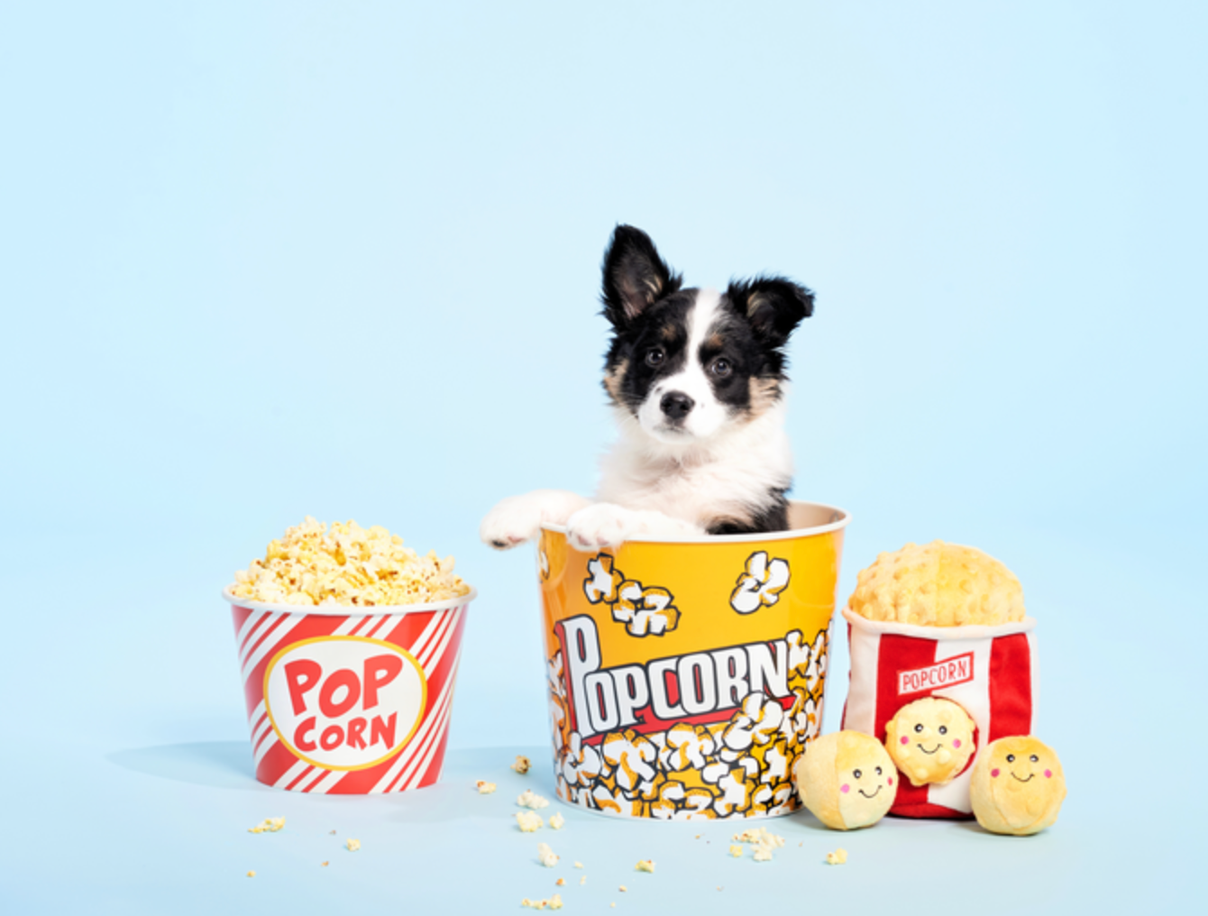 ZippyPaws – wholesale Pet plush toy – Dog – Zippy Burrow - Popcorn Bucket - Dog Toy3