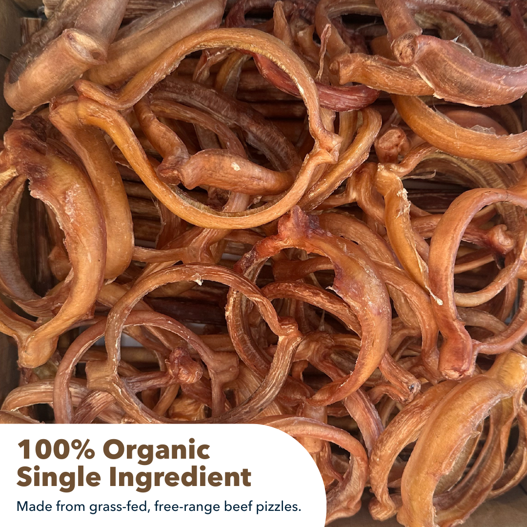 Mighty Chewz - Wholesale Pet Treats - Dog - 4" Bully Rings Display Box $2.07/ Stick (Case Price)6