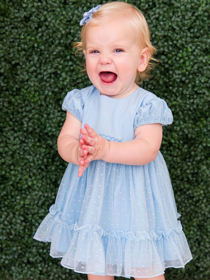Baby Girls Light Blue Dotted Tulle Dress & RuffleButt Set for wholesale on Faire