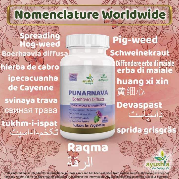 DevSatya Ltd Aushadh, Ayushya, Divyaherb - Wholesale Oral Supplement/Vitamin - Punarnava Capsule2