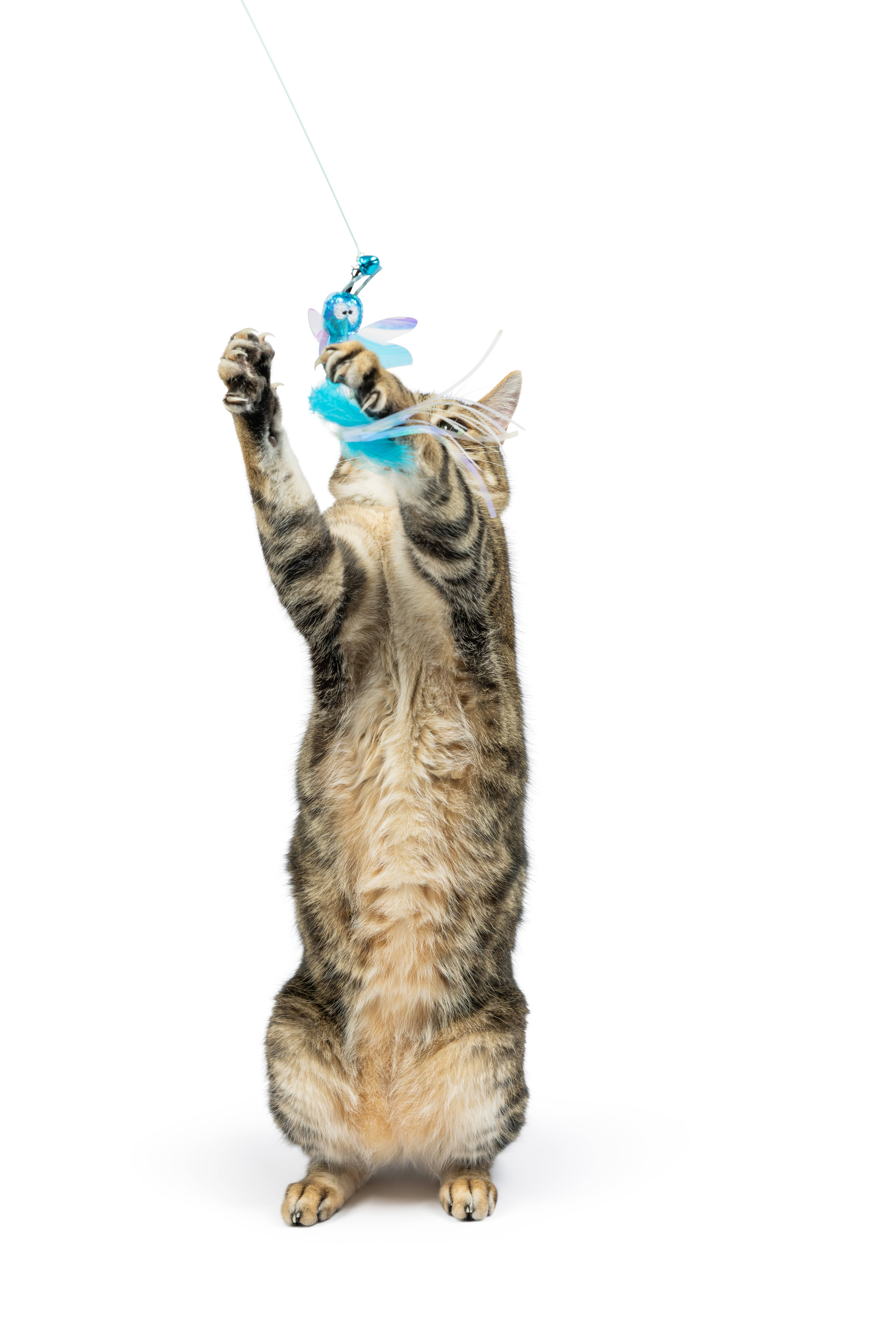 Huxley & Kent - Wholesale Pet Toy - Cat - Wire Dragonfly & Mouse Wand Cat Toy6