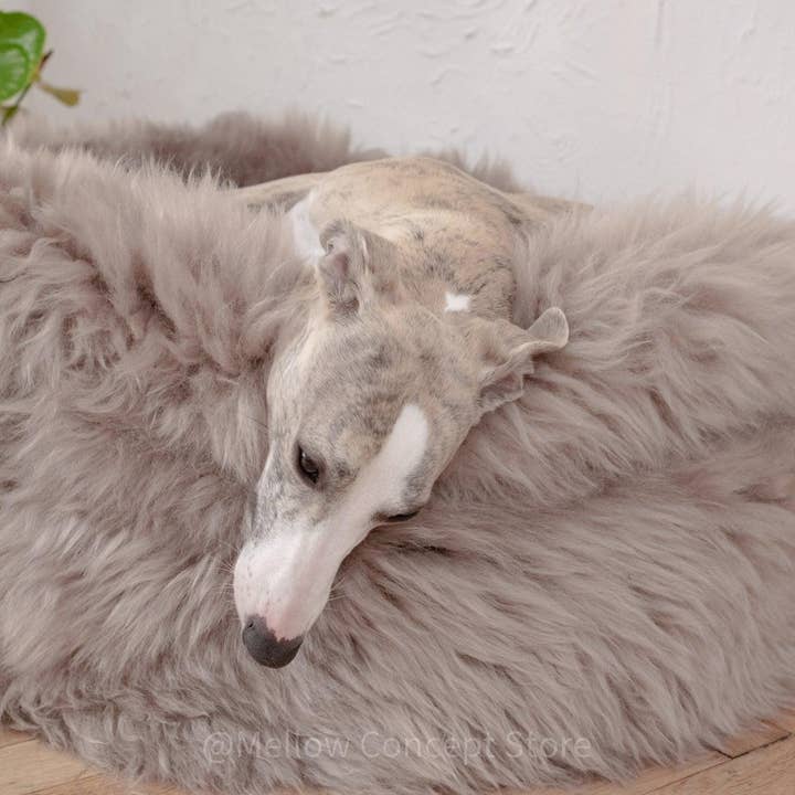 Mellow – Engroshandel Seng - Hund – Oval hunde- og kattekurv i naturlig lammeskind - Greige4