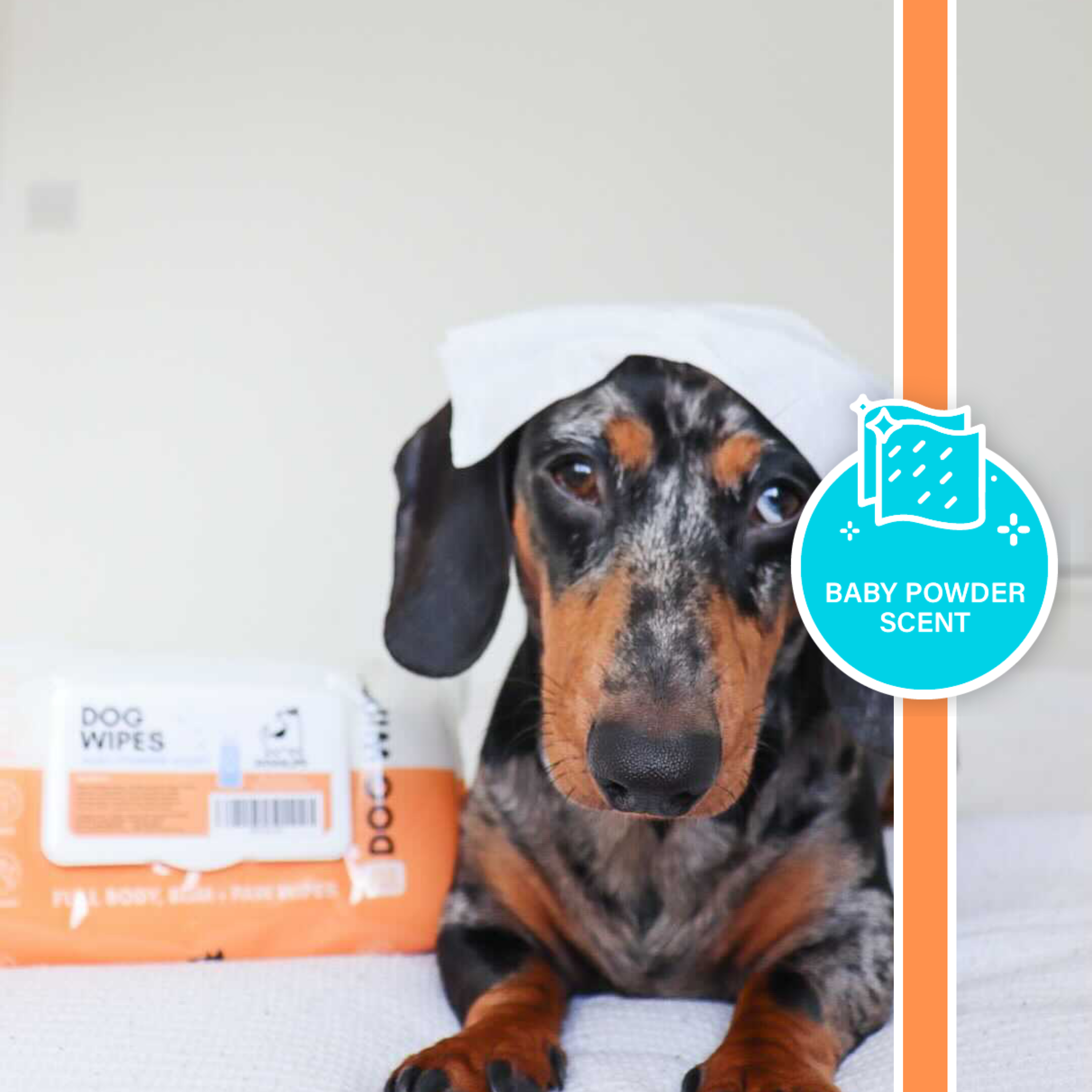 OurPetsLife - Wholesale Pet grooming aid – Dog - Scented Dog Wipes6