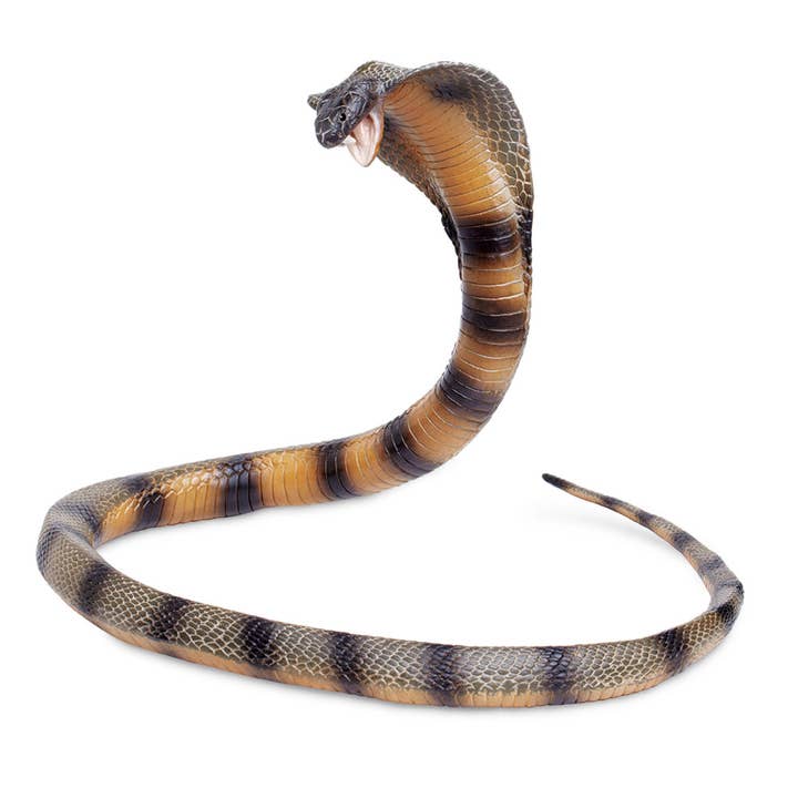 Safari Ltd. - Wholesale Figurine Toy - Kids - Cobra - 2603291