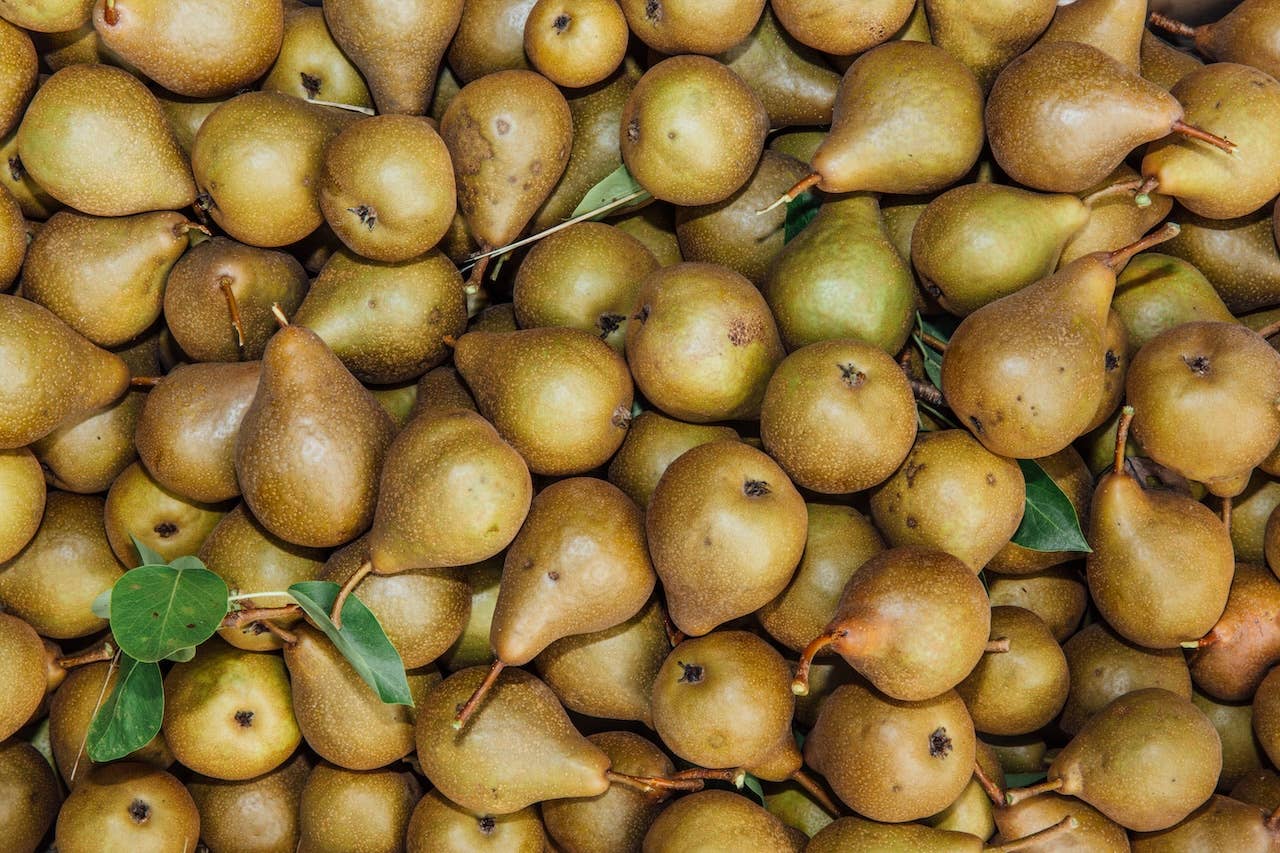 Girl Meets Dirt - Wholesale Preserves - Orange Peppered Pear Spoon Preserves 7.75oz3