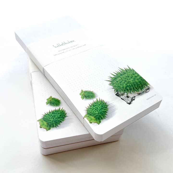 Lütteblüten - Wholesale Kladblok - Hedgehog komkommer Kladblok2
