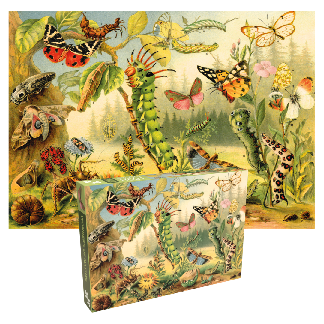 Penny Puzzle - Wholesale Puzzle - Adult - WONDERS OF NATURE 1000 piece vintage jigsaw puzzle1