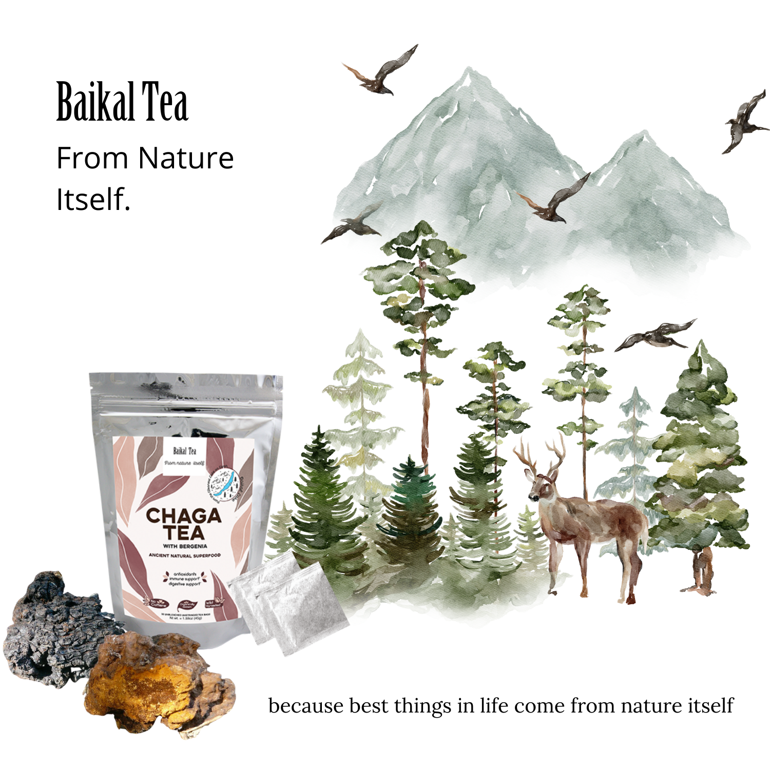 Baikal Tea – Chá de saúde/Detox por atacado – Chá Chaga com Bergenia10