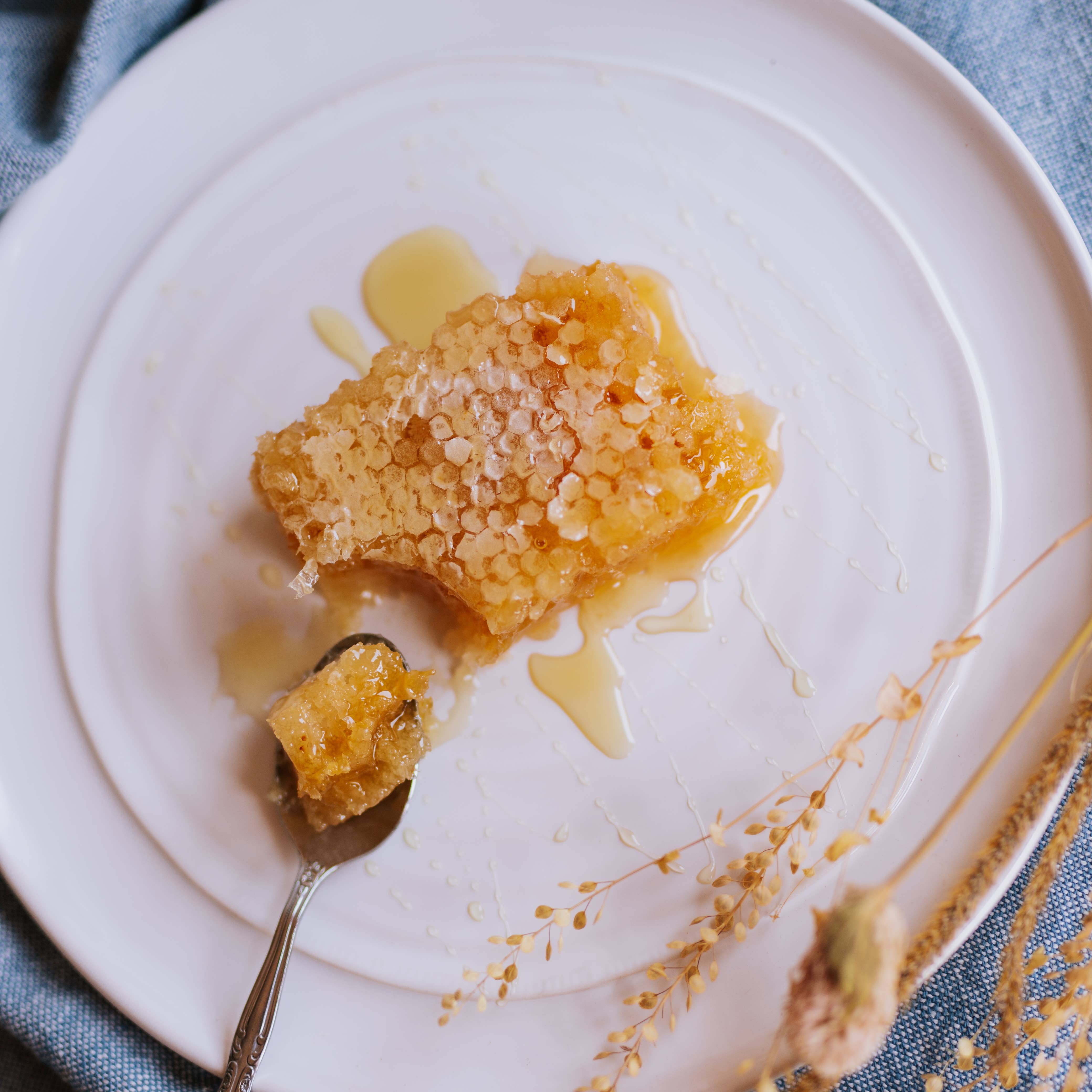 Saratoga Tea & Honey Company - Wholesale Honey - Hungarian Acacia Honeycomb5