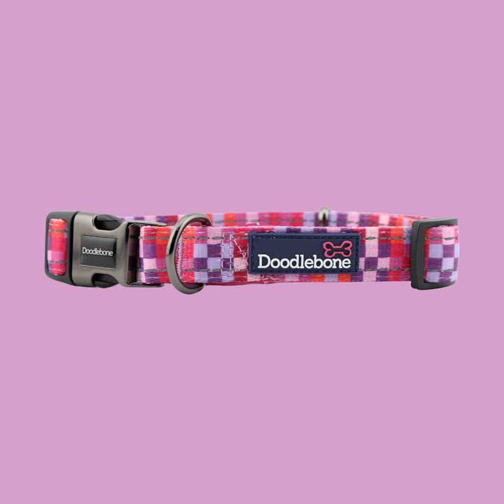 Doodlebone – wholesale Halsband - Hund – Vadderad hundkrage18