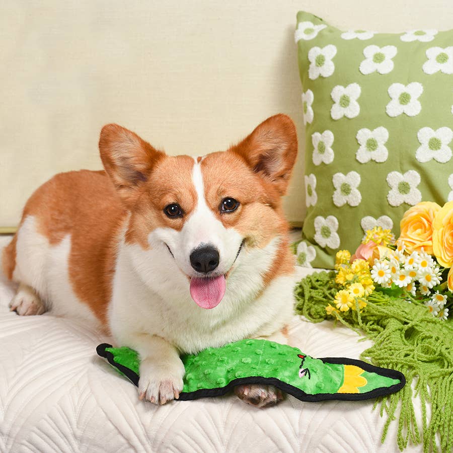 Hugsmart Products Inc - Wholesale Pet Plush Toy - Dog - HugSmart Pet - Squeakin’ Vegetables | Pickle - Dog Plush Toy3