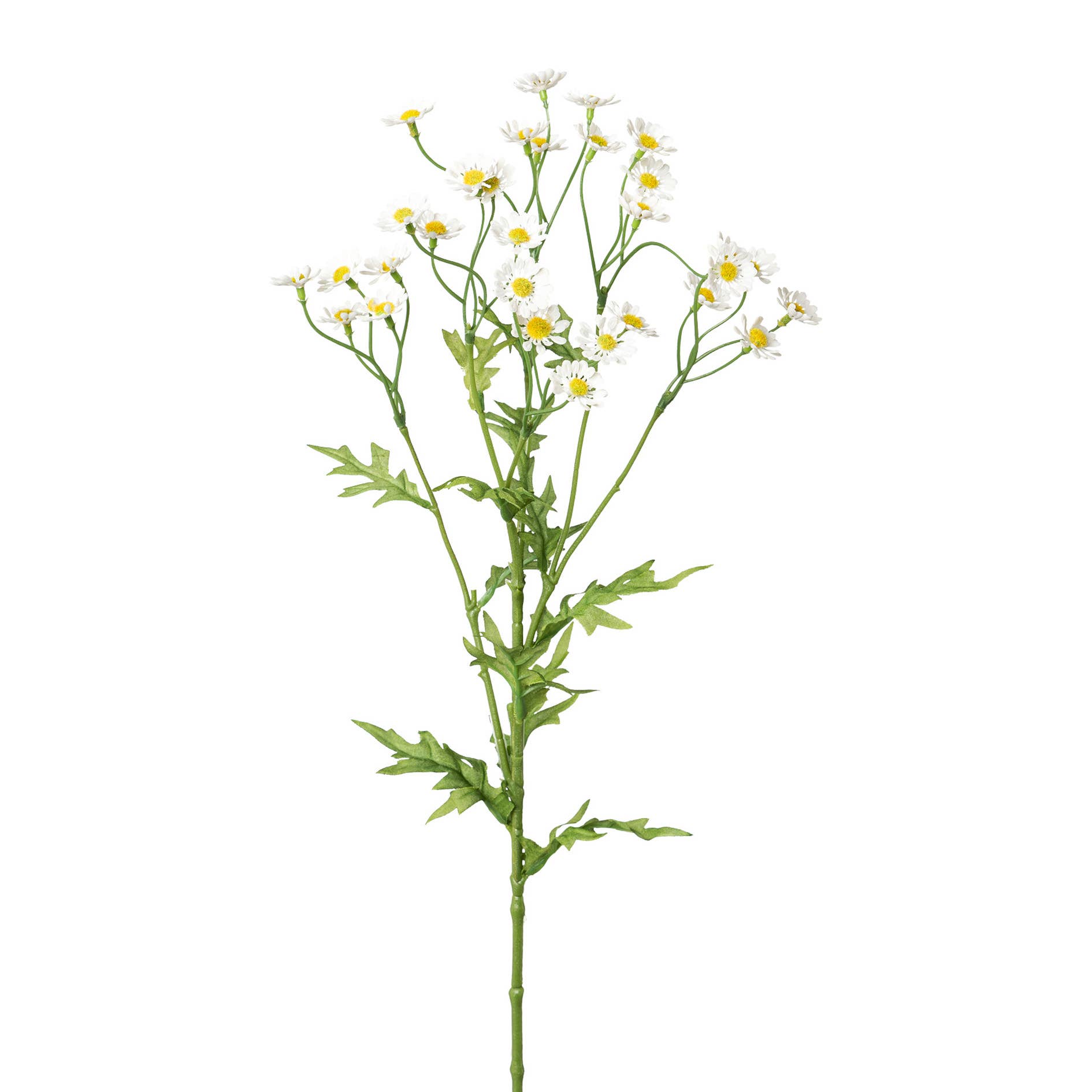 GASPER GmbH - Wholesale Artificial Flowers - Camomile, 60cm, white0