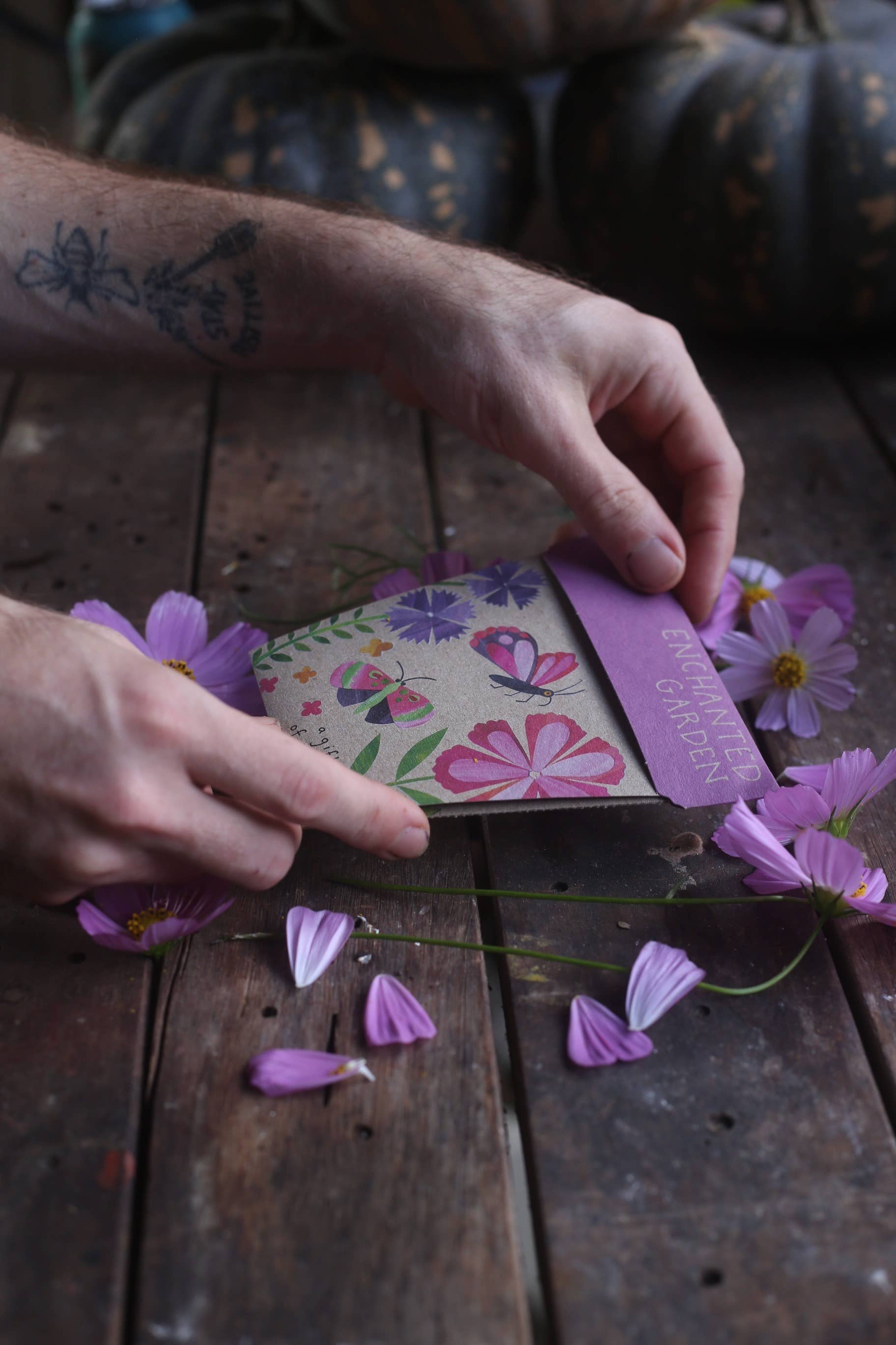 Sow 'n Sow - Wholesale Plant seeds - Enchanted Garden Gift of Seeds (Australia Only)5