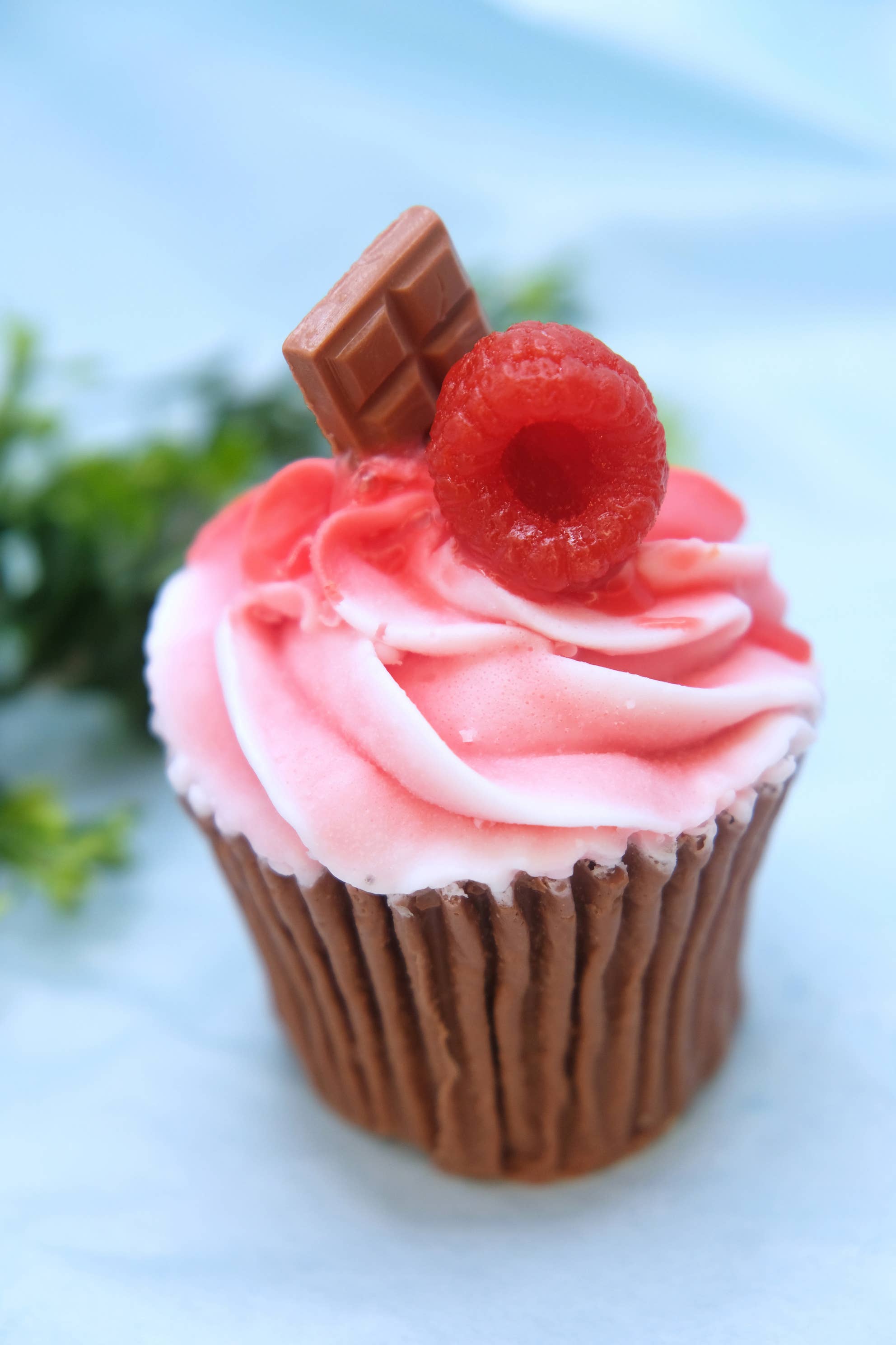 Soapy Trendy - Wholesale Bar Soap - Raspberry Chocolate Cupcake Soap0