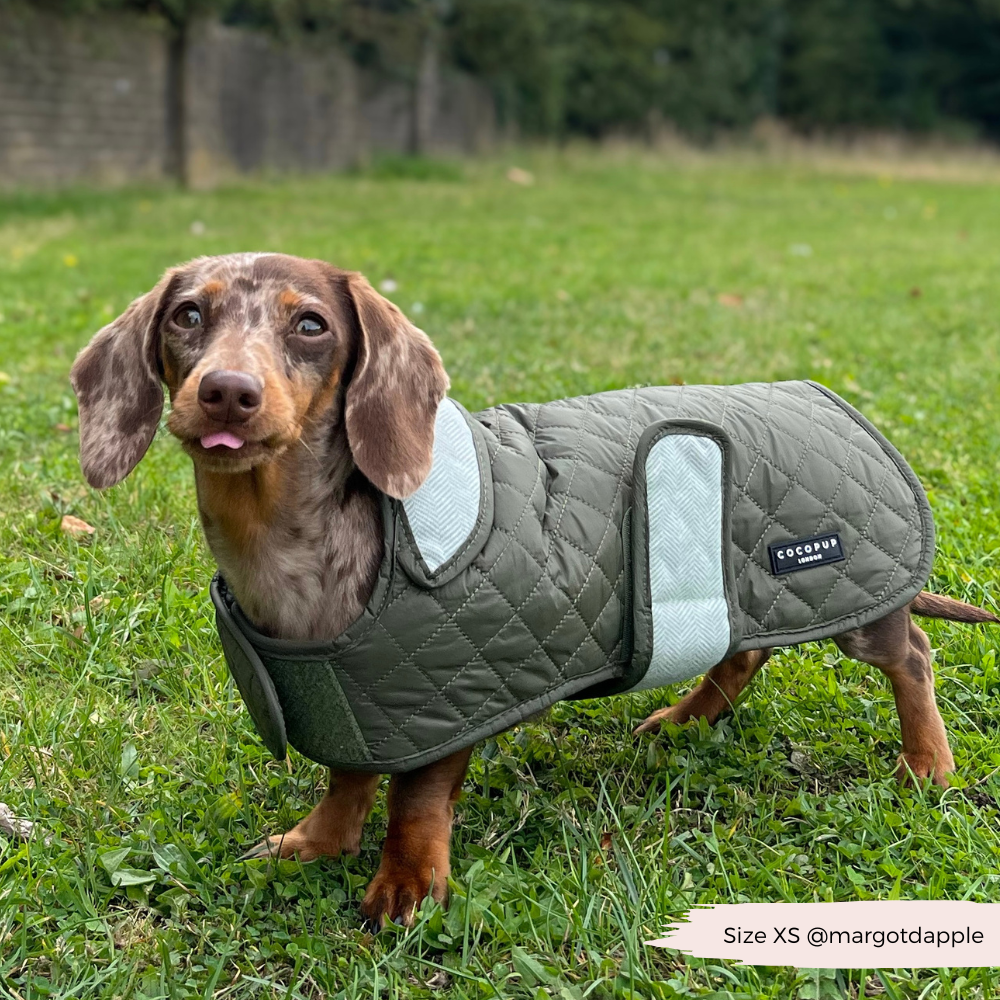 Cocopup London - Wholesale Pet Coat - Dog - LUXE Quilted Dog Coat - Country Khaki17