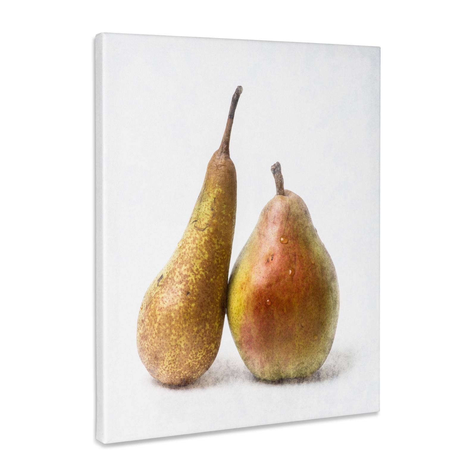 3dRose - Wholesale Art Print - 3dRose, Two pears on white background. Stylized photo, Museum Grade Canvas Wrap0