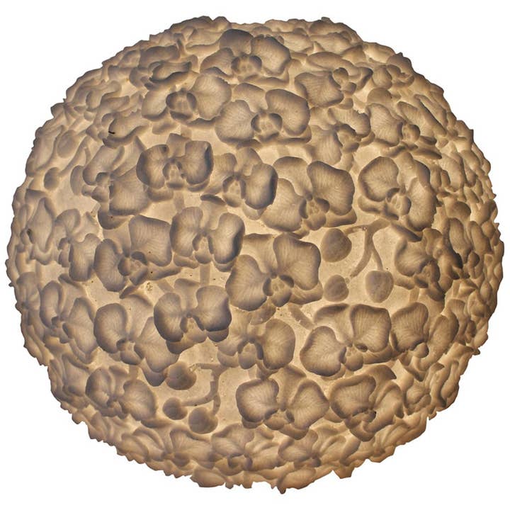 Modern Eastern by Contrast Inc. - Wholesale Accent/Desk Lamp - Sandstone Orchid Ball Lamp1