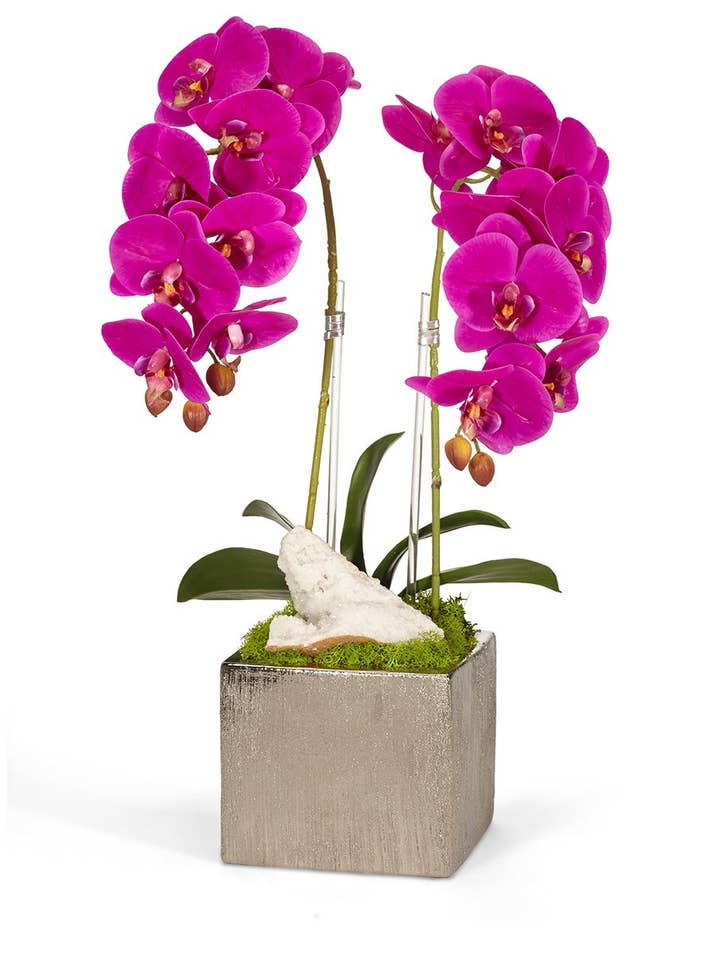 Double Orchid in Silver Square - FU for wholesale by T&C Floral Company