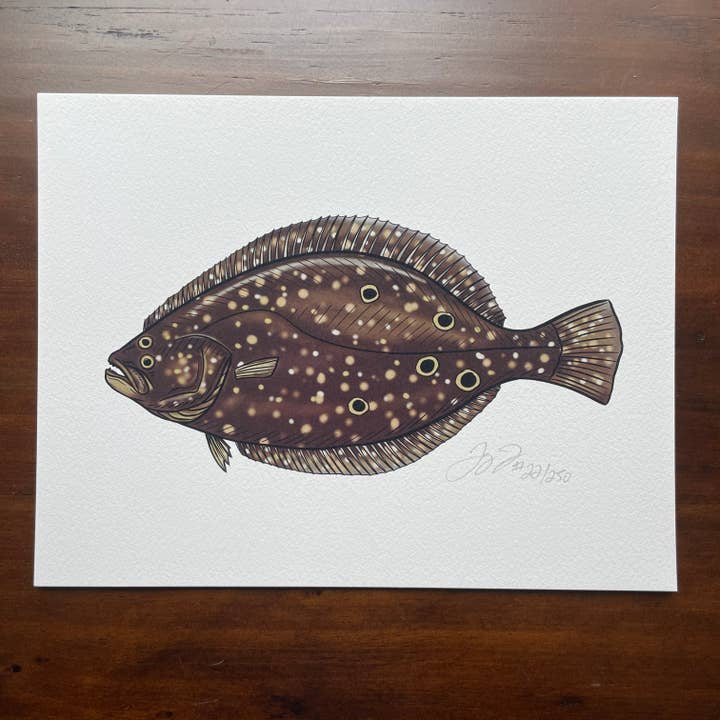 Flounder Print (cadre non inclus) pour la vente par Jaybo Art