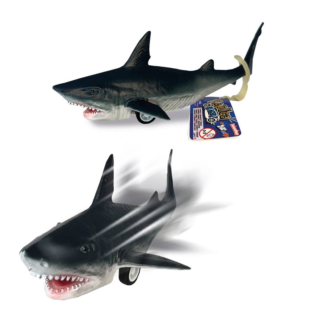 Deluxebase - Wholesale Toy Car/Truck - Kids - Replica Racers - Great White Shark, Pull-Back Vehicle1