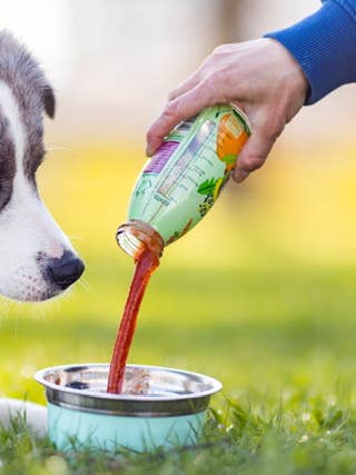 Snack naturale per cani SmoothieDog VeggieSnack senza zucchero per la vendita all'ingrosso da parte di SmoothieDog