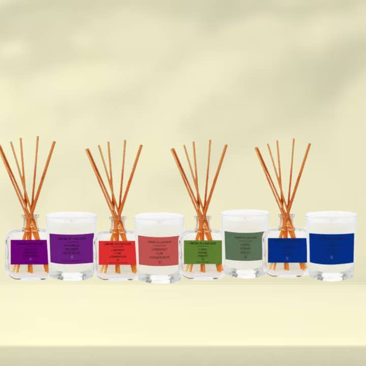 OFFERTA SPECIALE INVERNALE - RISPARMIA 10% per la vendita all'ingrosso da parte di Cirerie de Gascogne (US/CAN)-Distributed by Scents of Europe