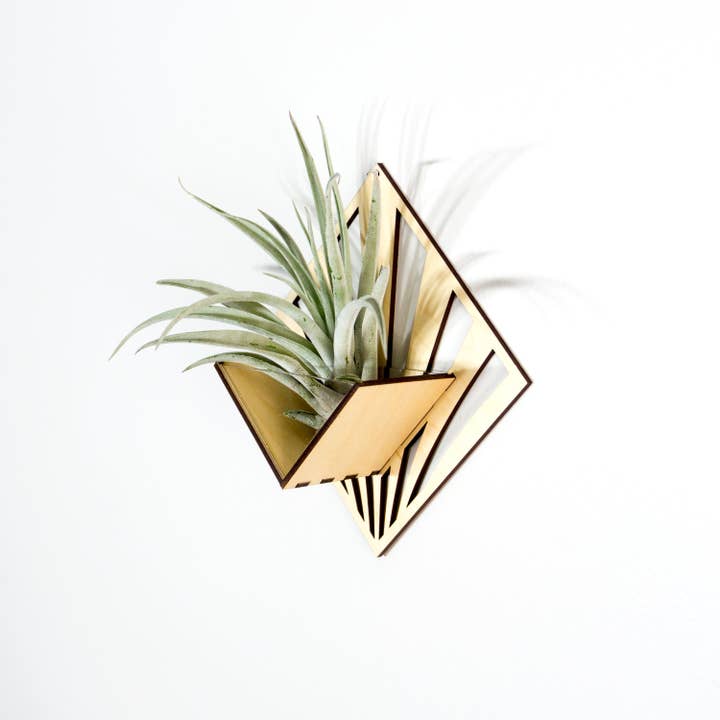 LIGHT RAZOR DESIGN STUDIO - Wholesale Wall planter - Air Plant Holder / Quadrate Wall Hanging Planter 2117