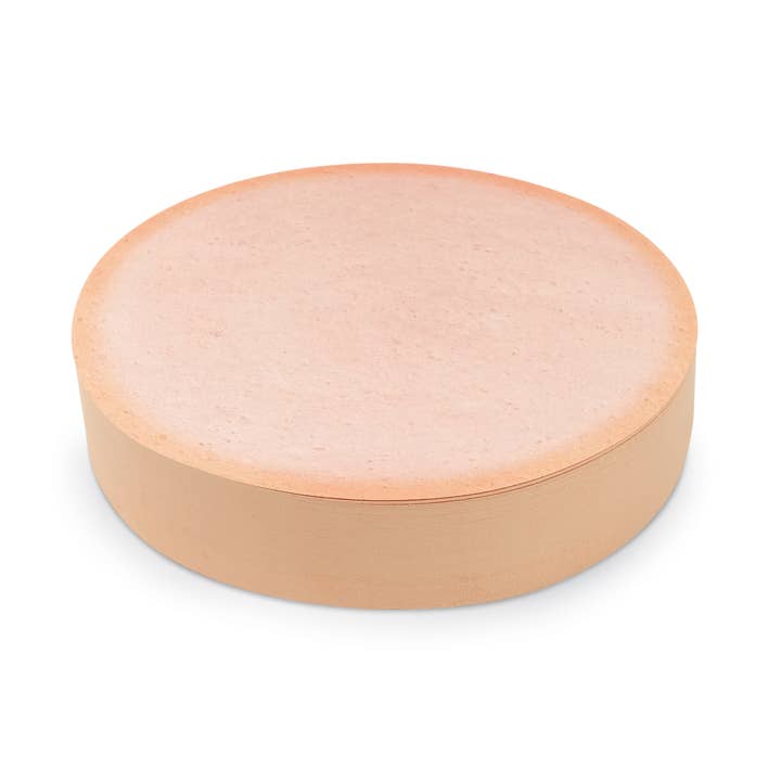 Fred & Friends - Wholesale Sticky Notes - Phony Bologna - Sticky Notes1