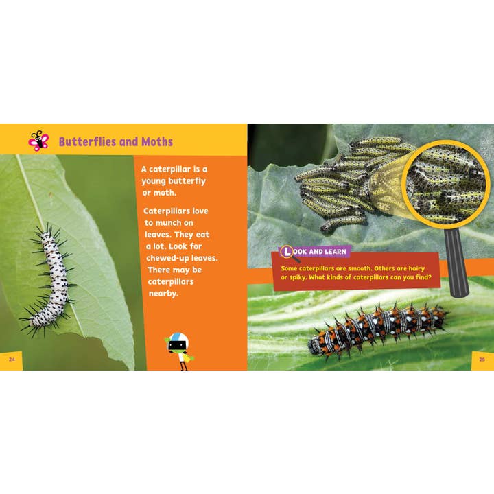 Simon & Schuster - Wholesale Book - Kids - Look and Learn Insects by