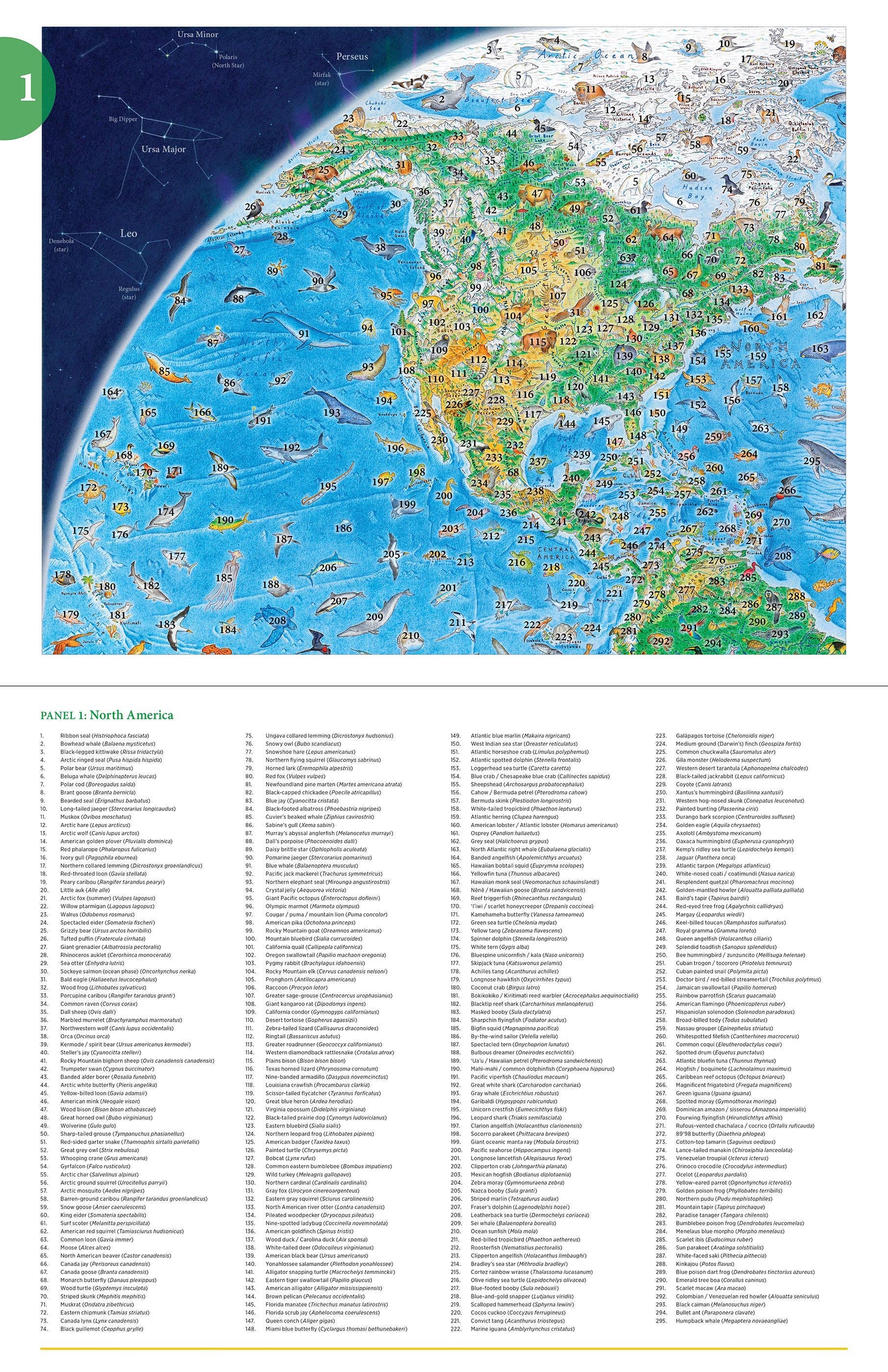 Pomegranate – wholesale Puzzle – Adult – Anton Thomas: Wild World 1500-Piece Jigsaw Puzzle4