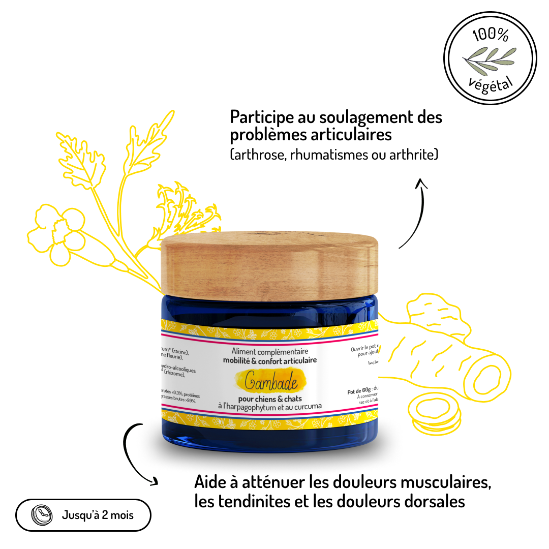 Truffe & Moustache - Vente Compléments alimentaires – chat et chien - Confort articulaire – Cure courte – Complément alimentaire2