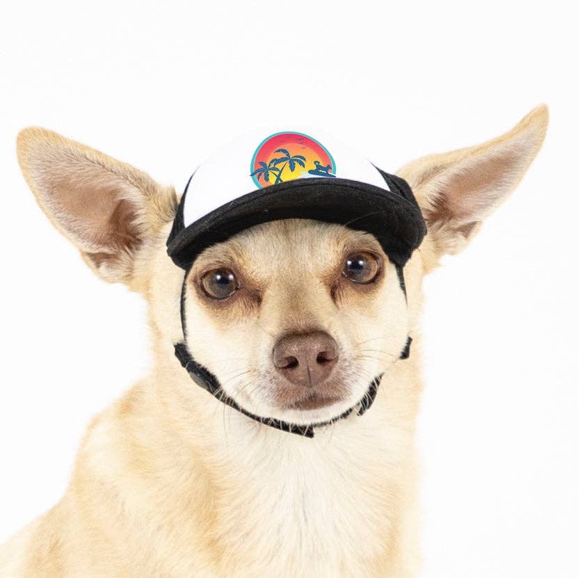 PupLid - Wholesale Pet Hat - Dog - Surfer Dog Standard or Namedrop | Trucker Hat for Dogs17