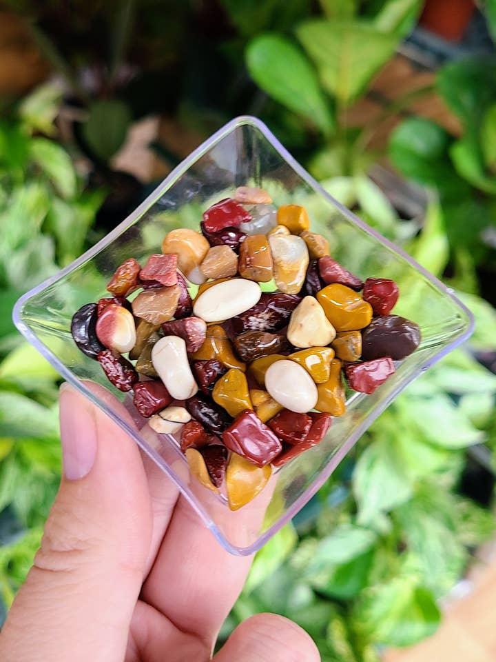 Mookaite Jasper Tumbled Chips 1 ounce for engroshandel hos Kiwi's Garden Center